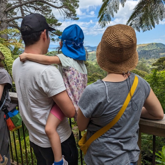 Driving Creek Railway Tours