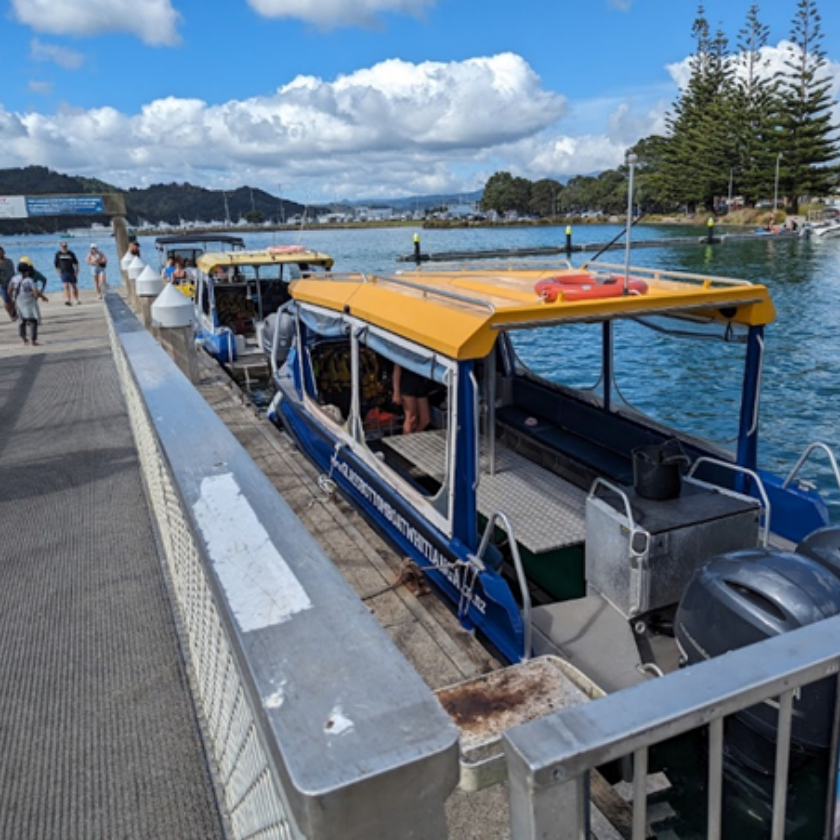 Whitianga Ferry