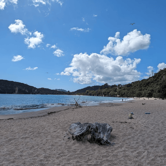 Whitianga Ferry