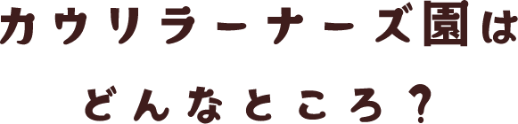 カウリラーナーズ園はどんなところ？